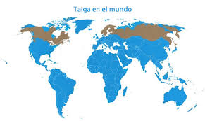 ¿Donde se ubica la taiga?