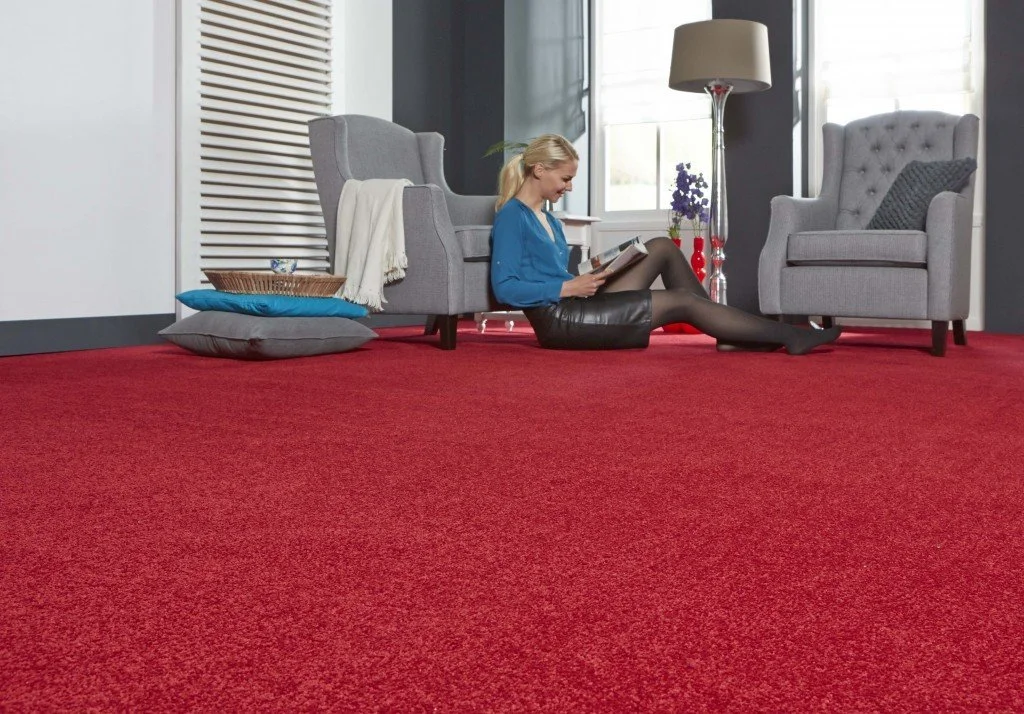 Splash of Colour Twist Pile Carpet