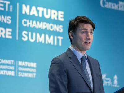 GOLDSTEIN: Trudeau’s carbon tax to raise $6.21 billion annually by 2023