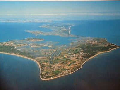 l&#039;île de ré image