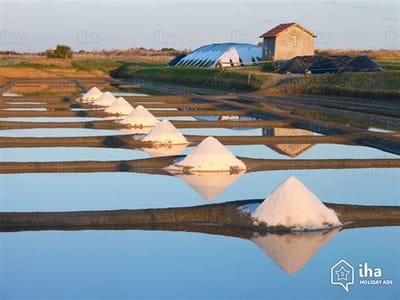 l&#039;île de noirmoutier image