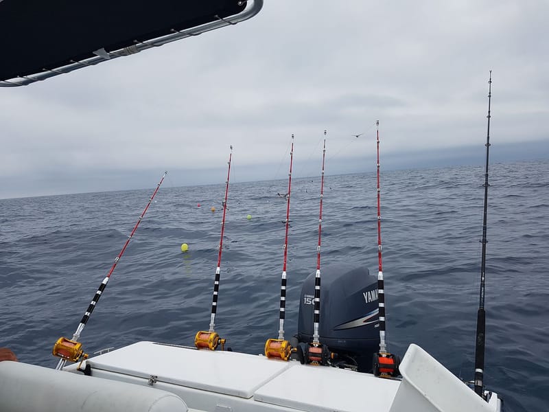 Technique de pêche au thon rouge au "Broumé"
