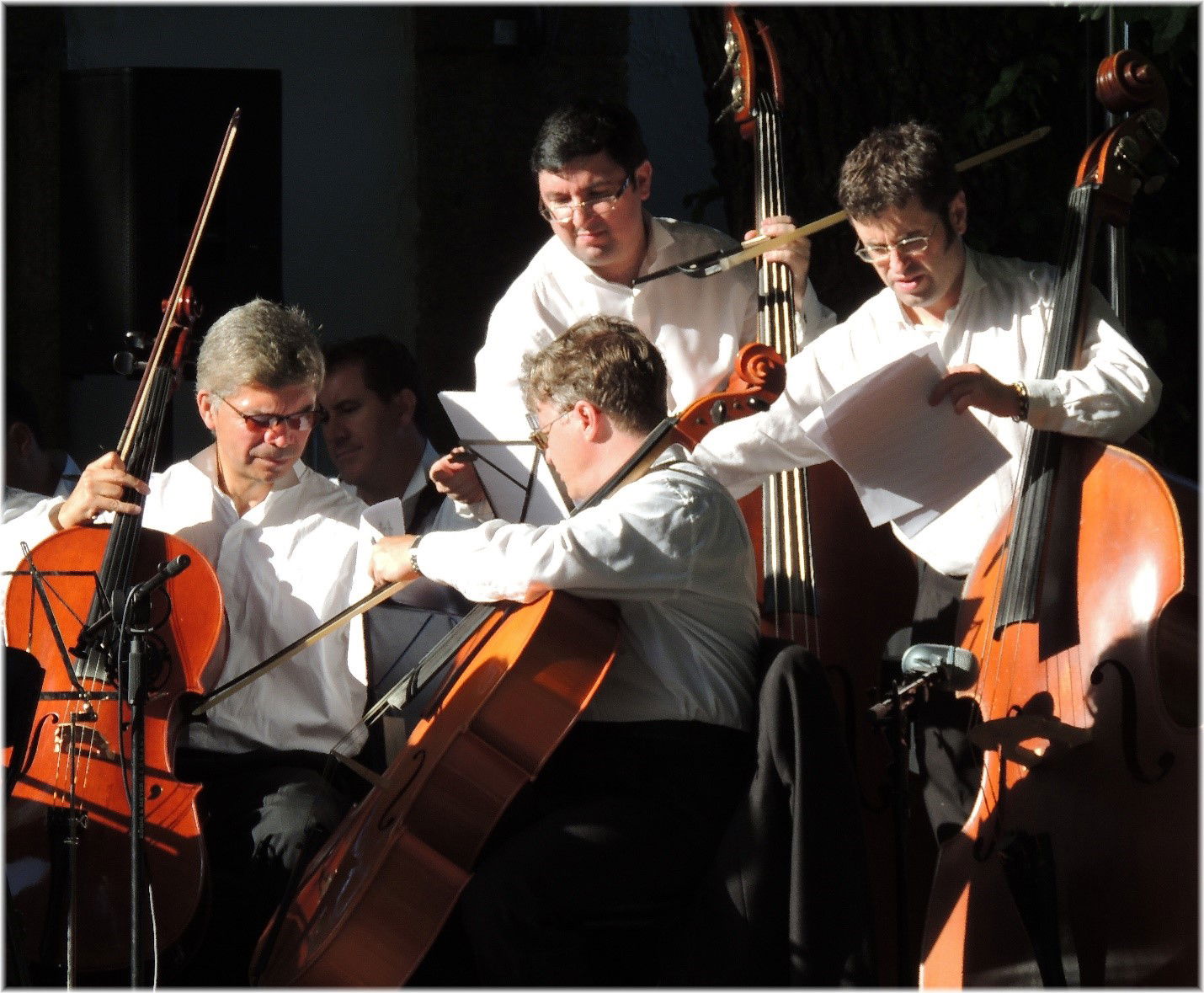 Harmonizing the Strings: A Guide to Matching Music to a String Orchestra's Skill Level