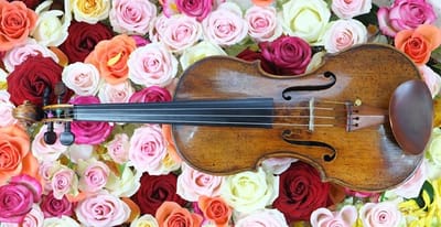 String Orchestra Introduction image