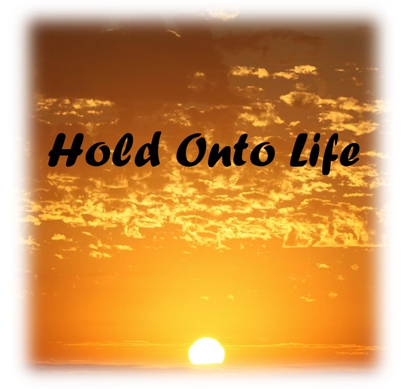 Hold Onto Life