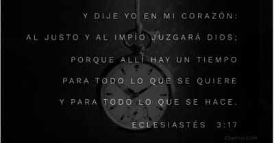 El Ciclo de la vida.