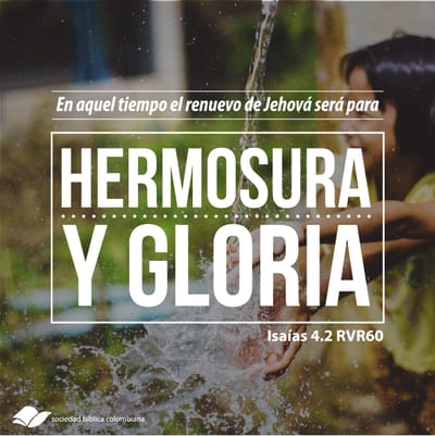 El renuevo de Jehová.