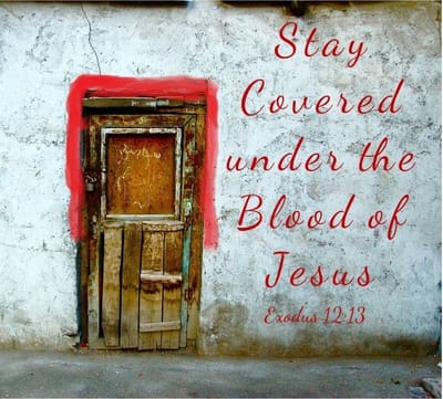 El lo hará otra vez