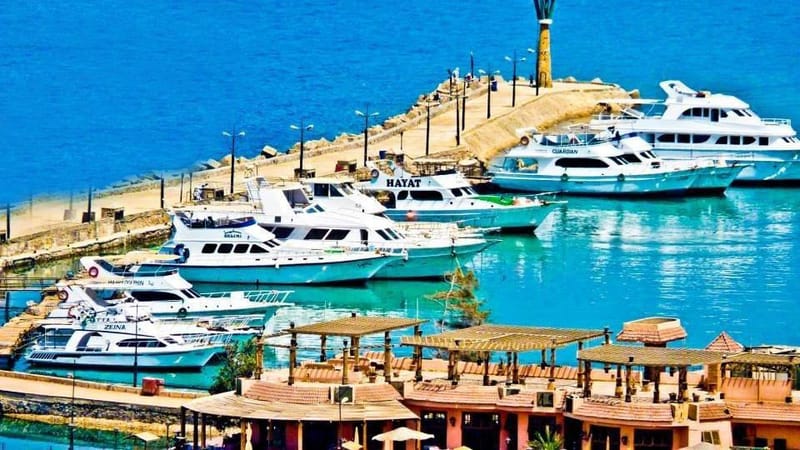 Day tour to the Red Sea from Cairo