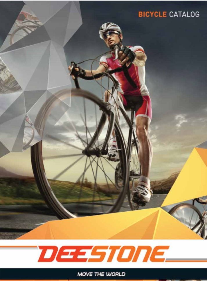 BICYCLE TIRE