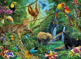 Fauna y flora