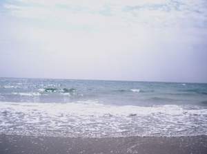 AGUA SALADA