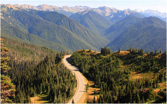 BOSQUE TEMPLADO