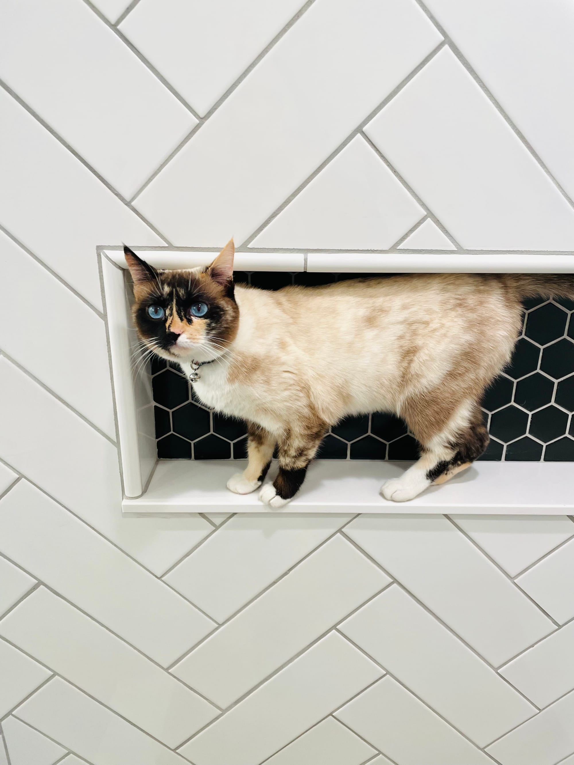 Bathroom remodel