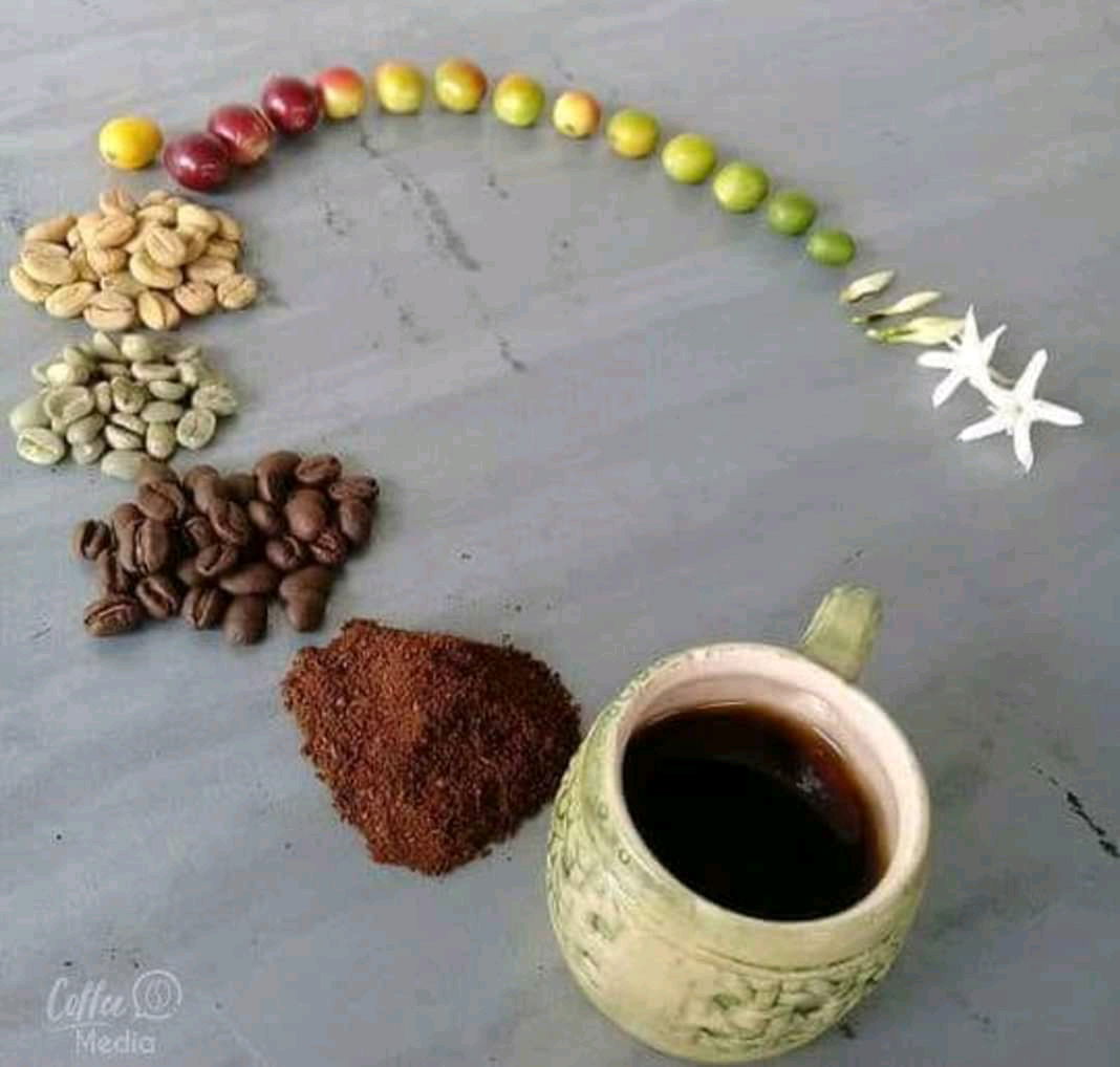 GASTRONOMÍA