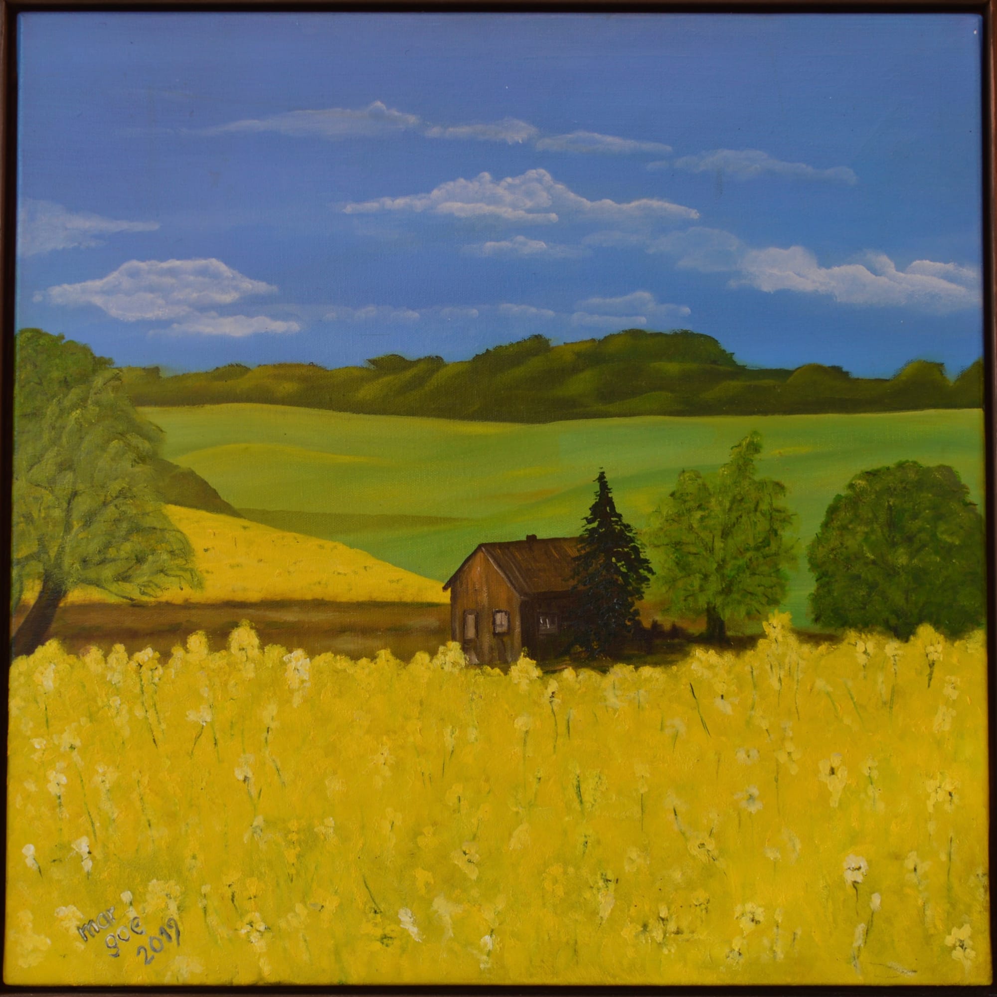 Rapsfeld bei Rittermannshagen, 60 x 60 cm - Acryl/Öl - Mischtechnik auf Leinwand , (2019)