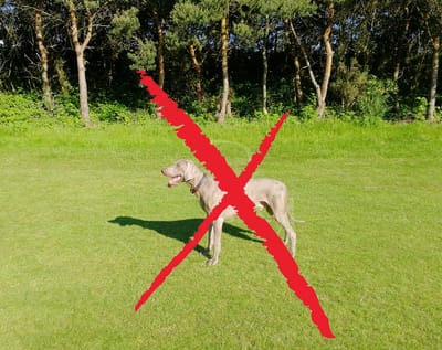 Taking your Photo 1 image