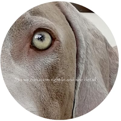 Taking your Photo 1 image