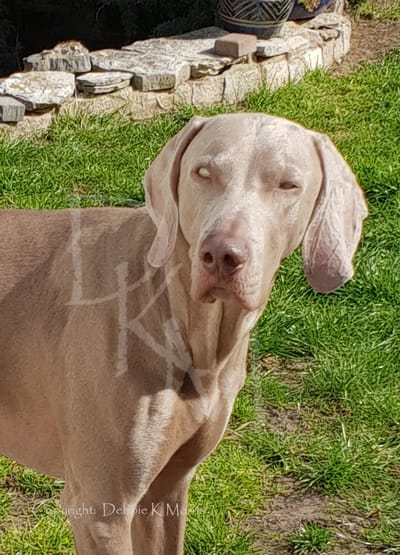 Taking your Photo 2 image