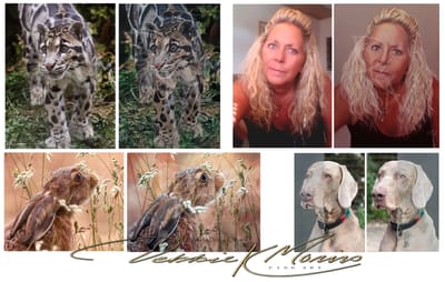 Commission - Information image