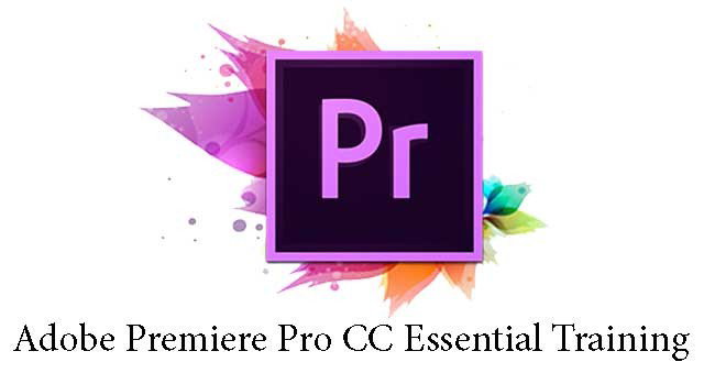 Premier Pro + Vegas Pro + After Effect