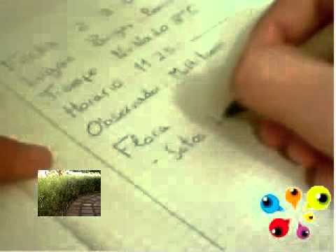 Cuaderno de Campo
