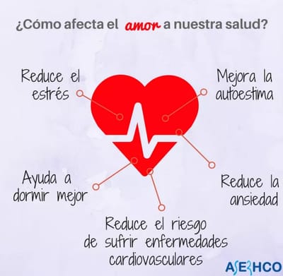 Marco teórico  image