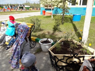 Конспект прогулки в младшей группе «Рассматривание клумбы»