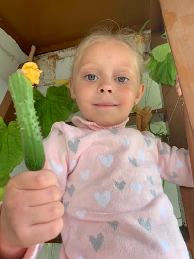 «Сидим дома с пользой, растим огород на балконе»