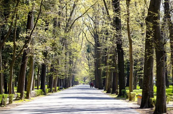 Ambiente,Viabilità e Mobilità