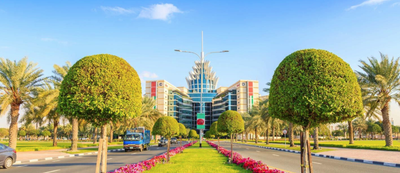 6 Affordable Dubai Restaurants Wanted by Local Residents