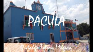 Pacula image