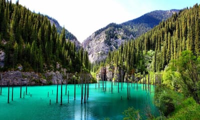 من نحن  image