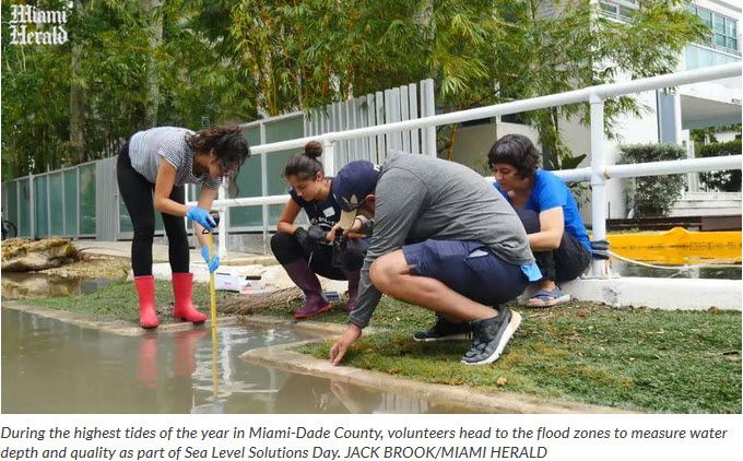 New Projections Show That South Florida Is In For Even More Sea Level Rise