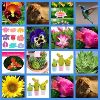 Collage con animales y flores