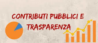 CONTRIBUTI RICEVUTI NEL 2024 image