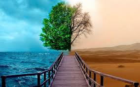 “Nadie te va a recordar por tu currículum, sino por tu forma de ser”…