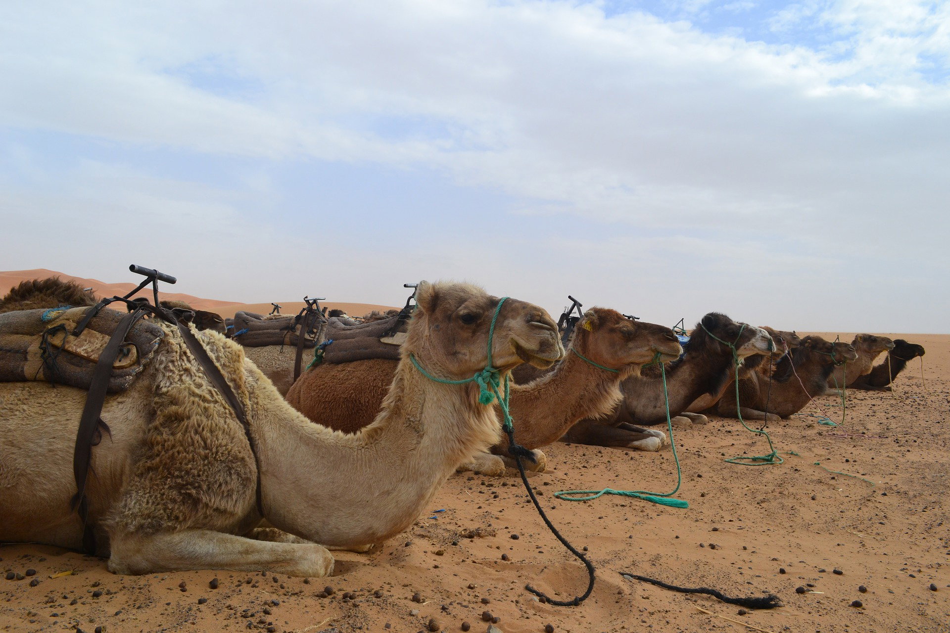 3 DAYS TOUR FROM FES TO MARRAKECH VIA THE DESERT
