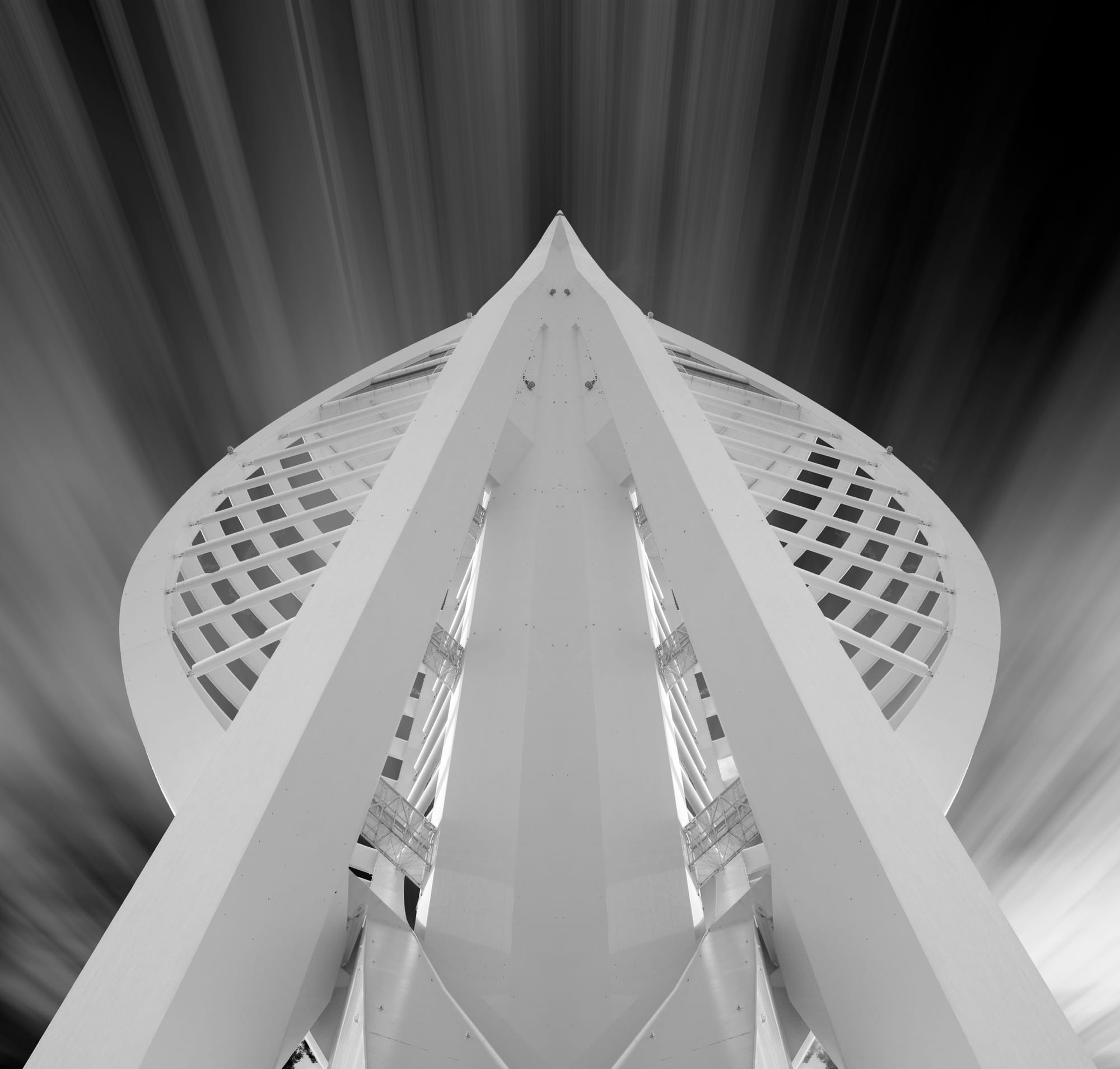 Spinnaker