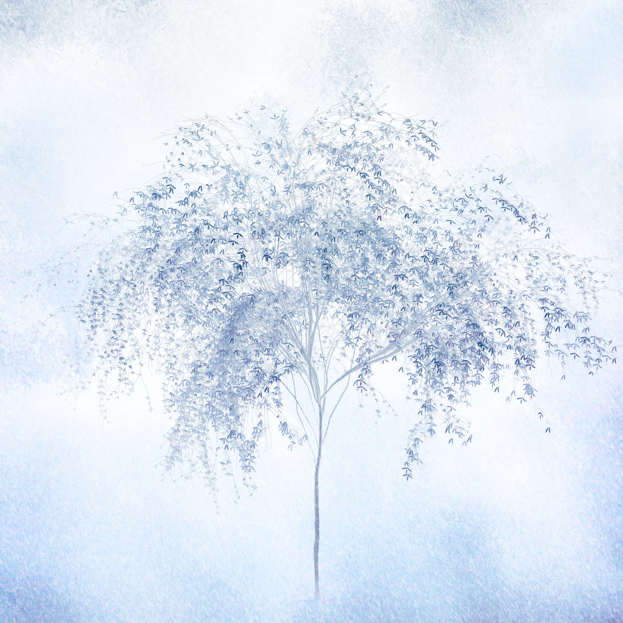 Blue Tree