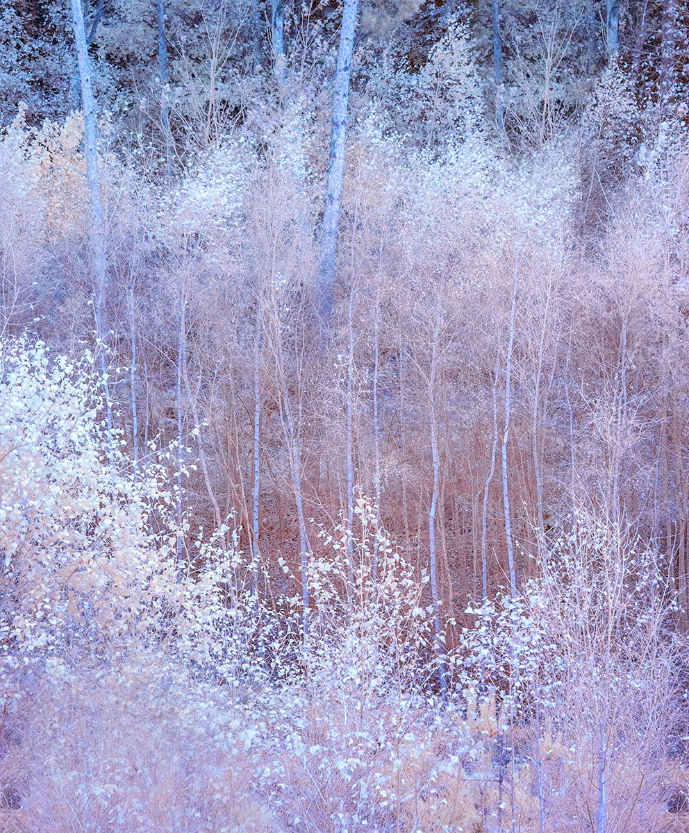 Sandy in IR