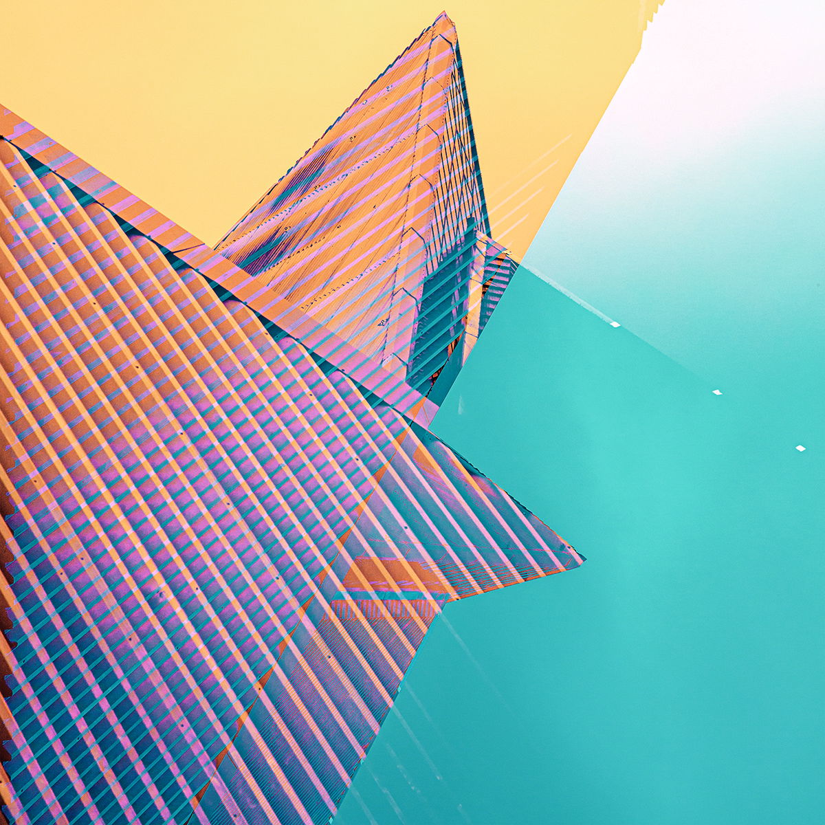 Oasis