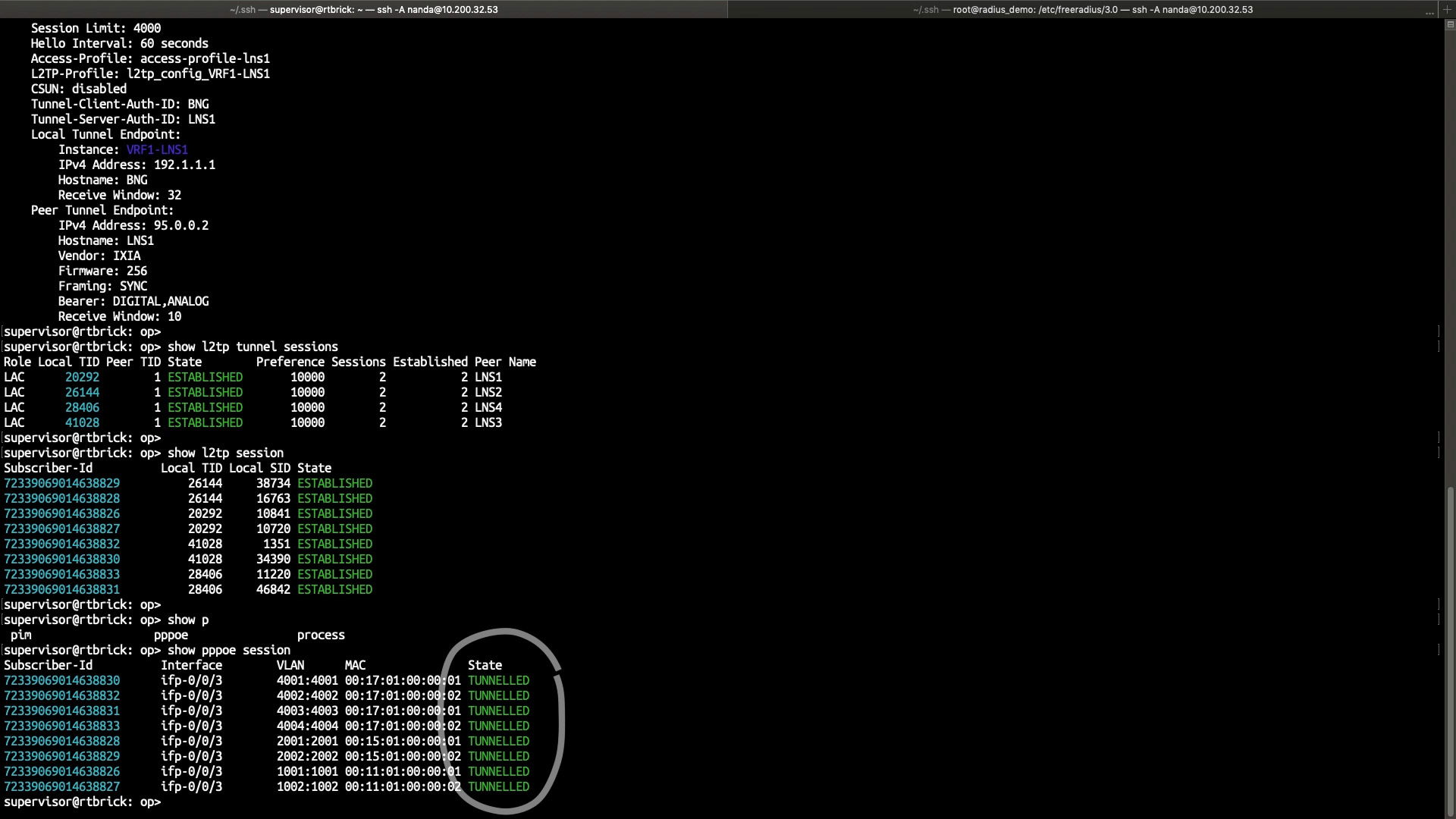 L2TP features in action on Open BNG software