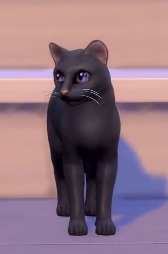 Salem