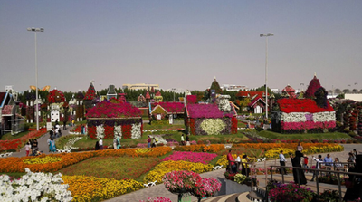 The factor is to hold smiling at Miracle Garden Dubai with a pile of pride