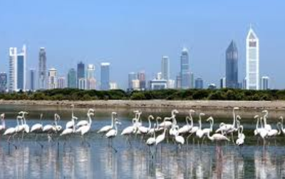 BRING MYTHS ABOUT LIFE IN DUBAI