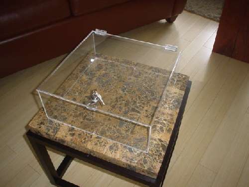 Plexiglass hinged box