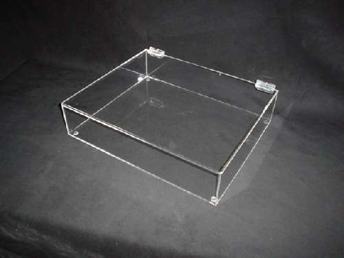 Acrylic hinged box