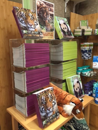 Acrylic display shelf for magazines and books