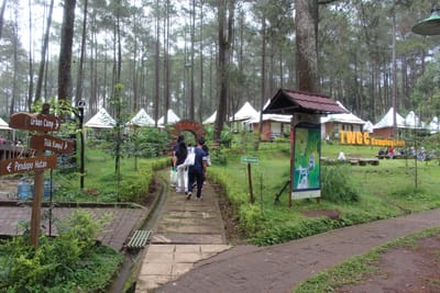 Grafika Cikole